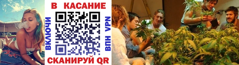 Наркошоп купить Бошки Шишки  АМФЕТАМИН  Меф  Бутират  APVP  COCAIN  Тихвин