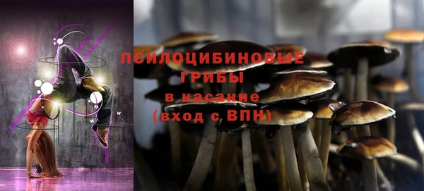 Альфа ПВП Коряжма